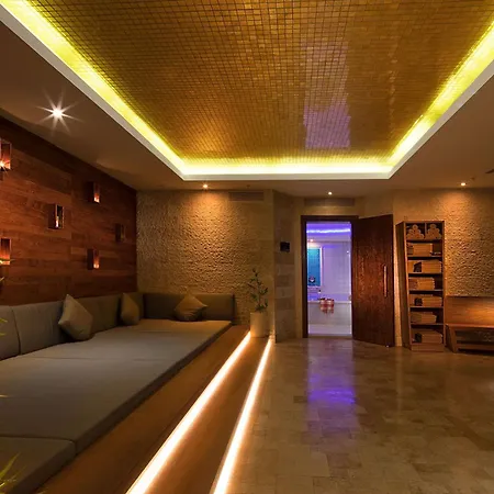 伊斯坦布尔老城希尔顿双树酒店 5*